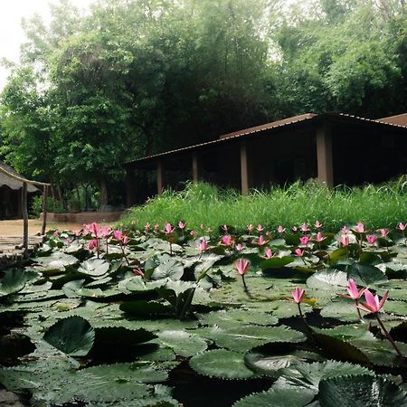 Hampi'S Whiskers Resort Exteriör bild