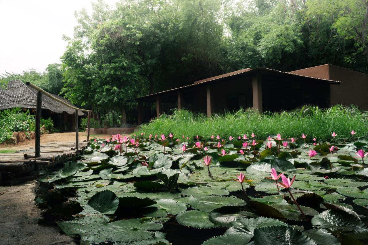 Hampi'S Whiskers Resort Exteriör bild